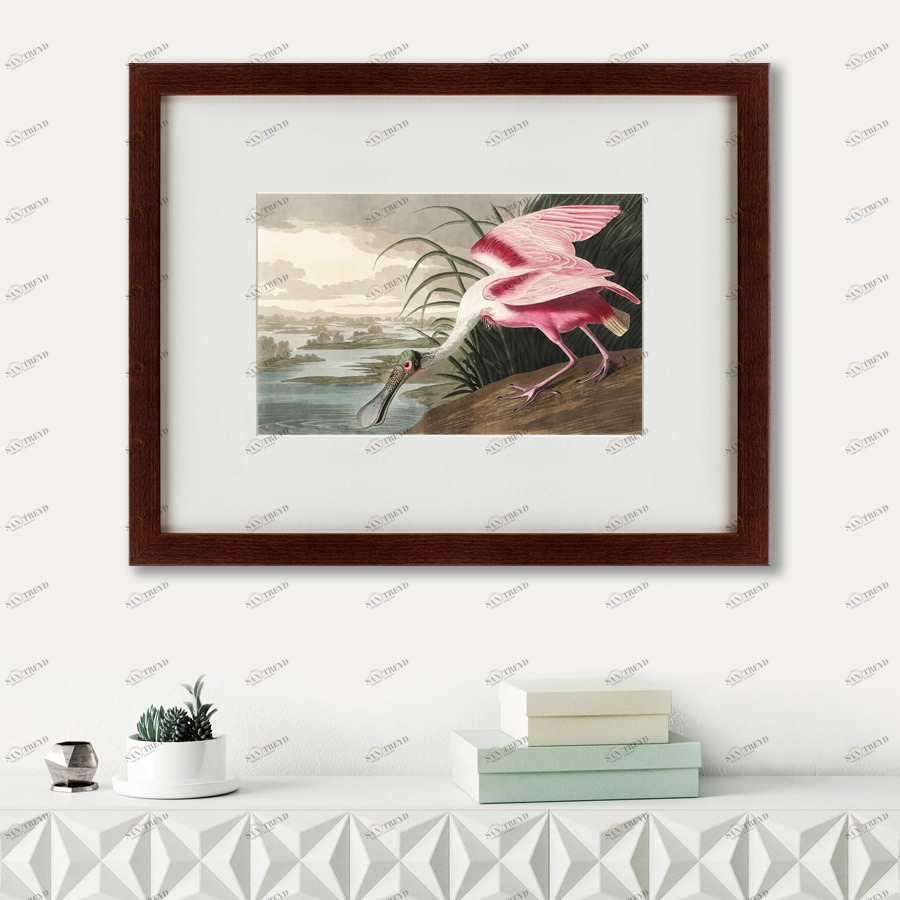 Литография на тонированной бумаге 47х60 см Roseate Spoonbill, 1827 КАРТИНЫ В КВАРТИРУ  191726 Белый;коричневый;разноцветный 