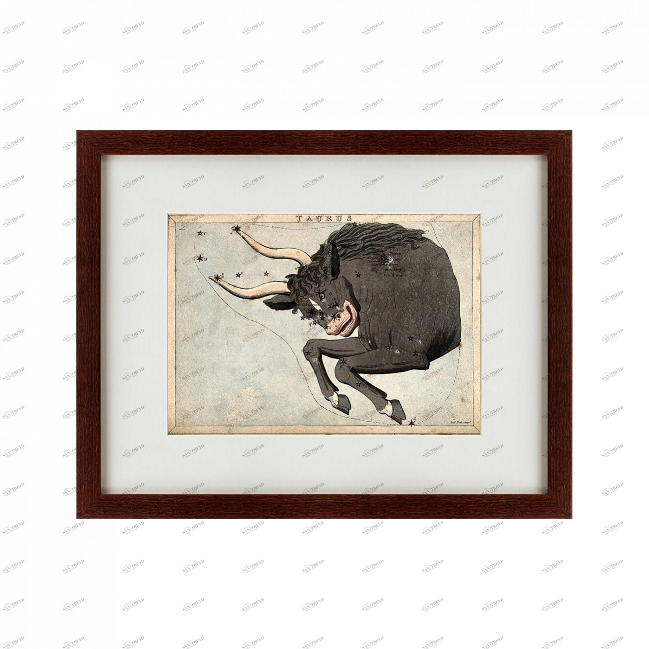 Картина: Signs of zodiac Taurus, 1825 КАРТИНЫ В КВАРТИРУ  135762 Разноцветный 