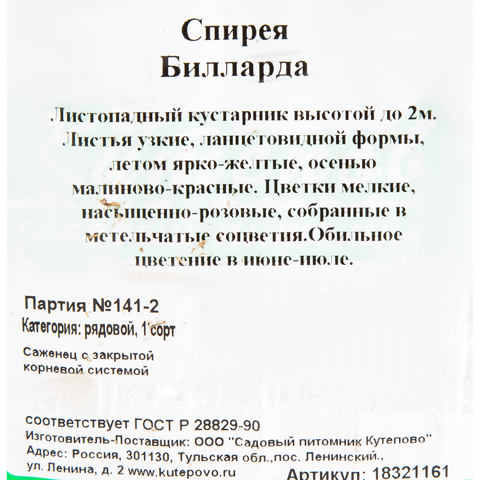 18321161 Спирея «Билларда С2», 40 см Santreyd  - Вид №1