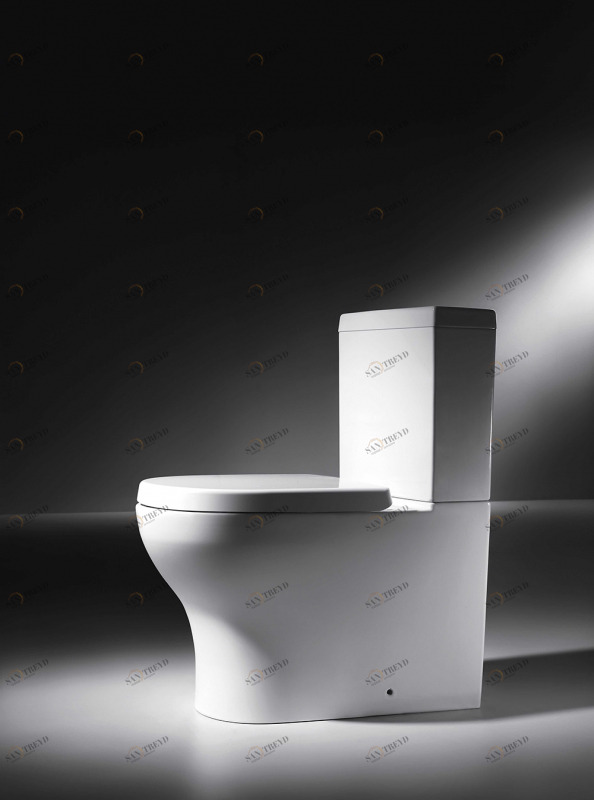 CX01016UW Компакт унитаз с бачком Белый Bravat Rael Турция