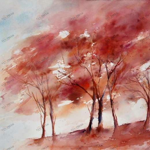 WP00050 Фотообои Verol Фотообои decoline 1х1 м