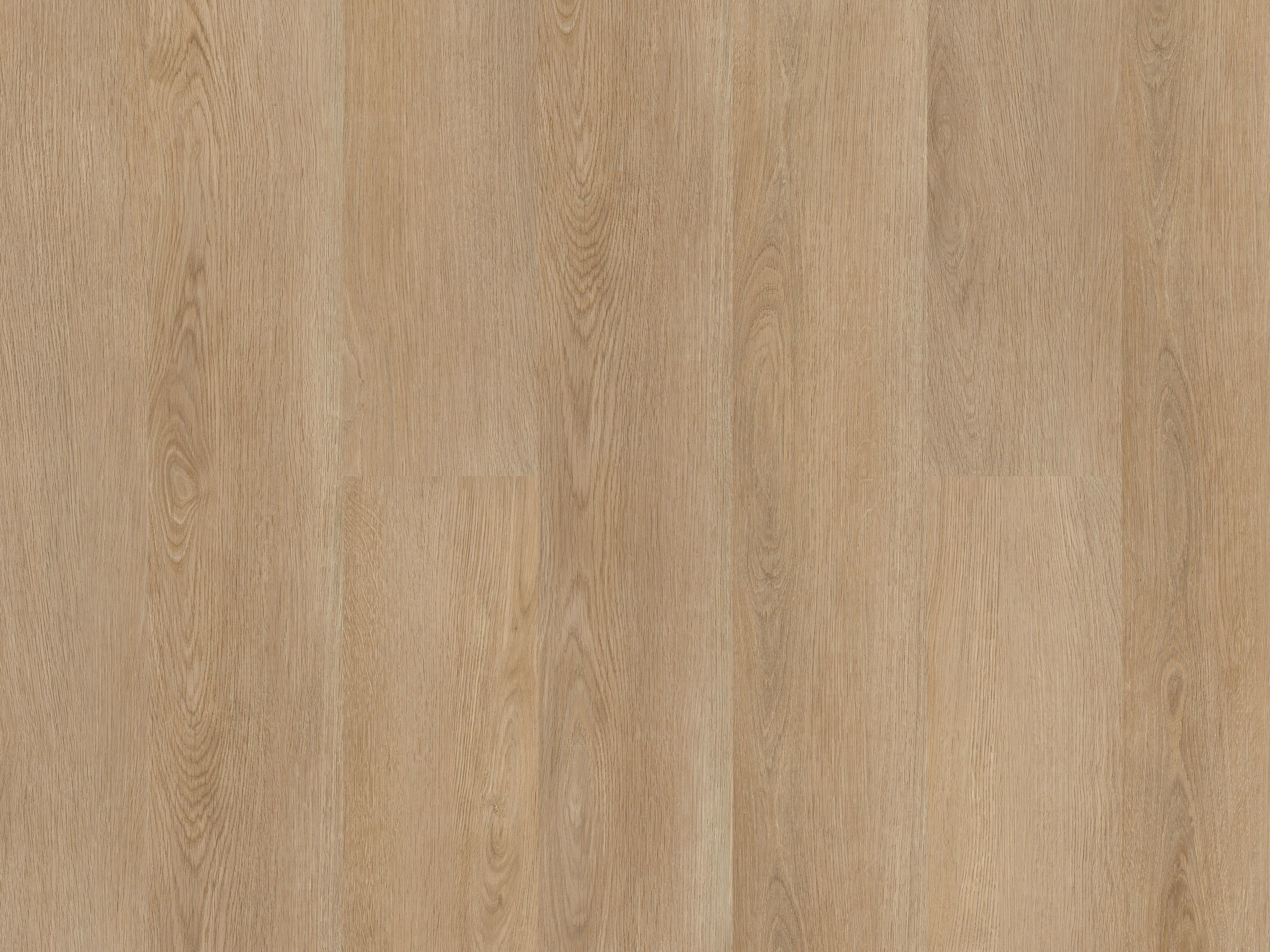 Низкая толщина SPC пол Virag Floors Evolution-полы из SPC и LVT ARCH-00027336 - Вид №17