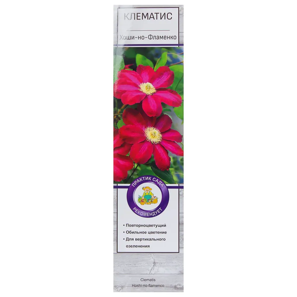 Клематис «Хоши но Фламенко» 81951274 STLM-2094040 Santreyd 