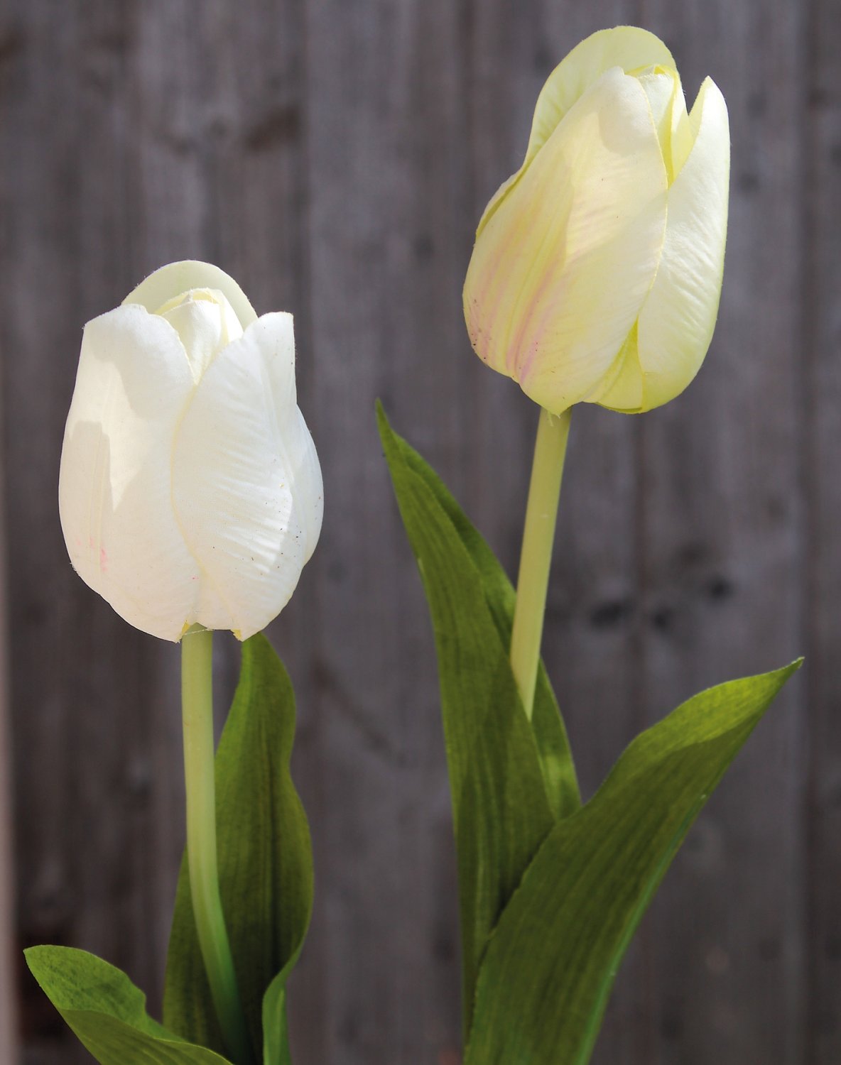 3115 788 a2 Искусственный тюльпан, 57 см, real touch, бежево-зеленый H-andreas  - Вид №8