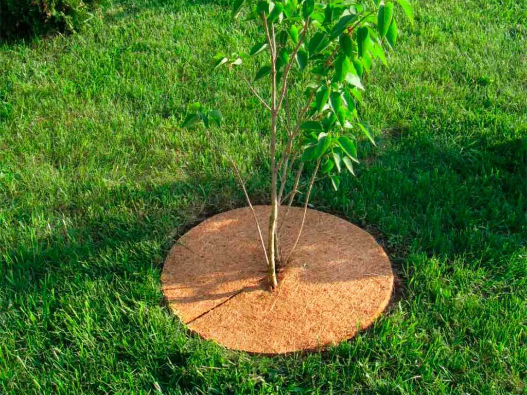 Круг приствольный Мульчаграм 60 см, комплект - 5шт ГеоПластБорд GPBST-236 - Вид №9