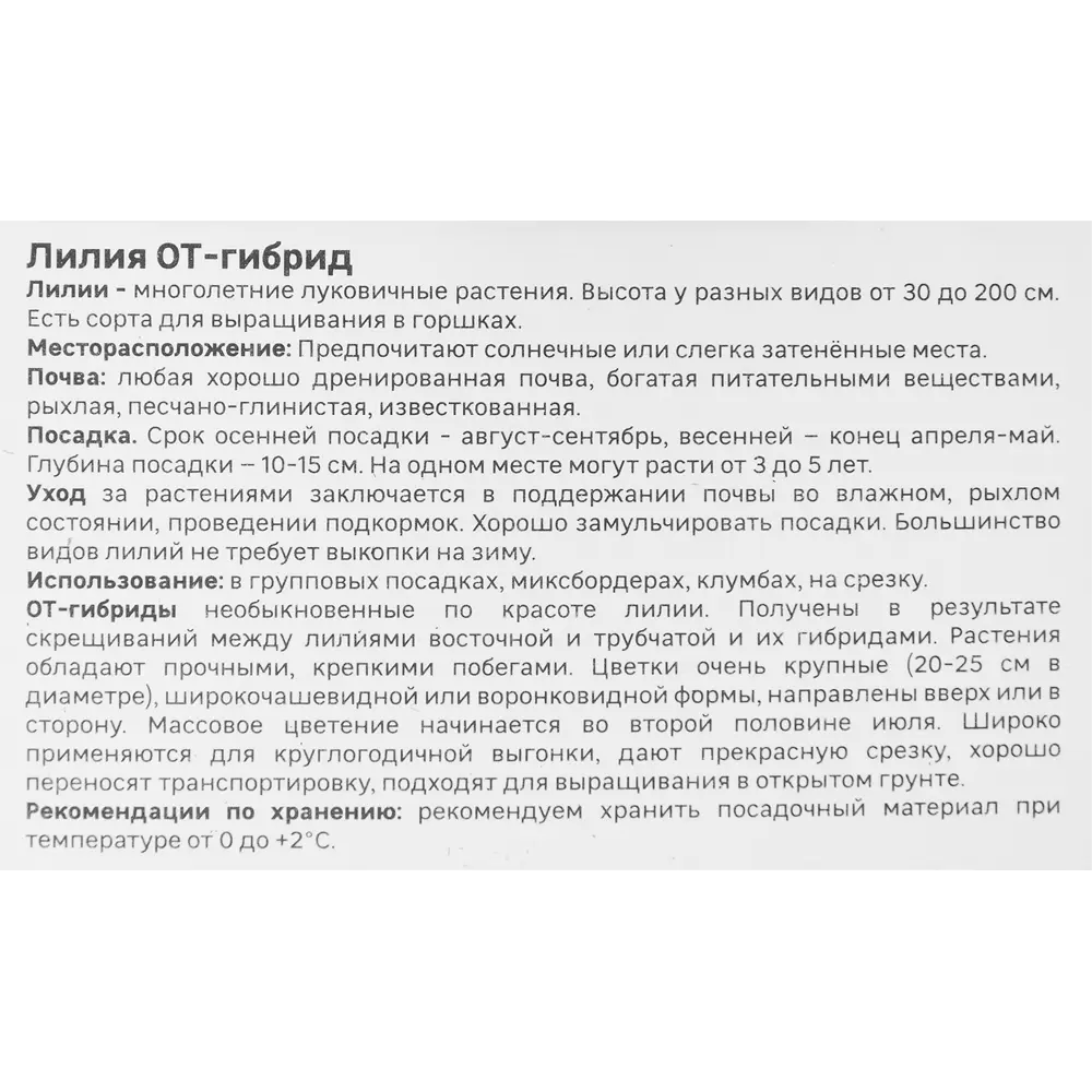 Лилия от-гибрид Конка Д Ор 86408695 STLM-2049815 Santreyd  - Вид №3