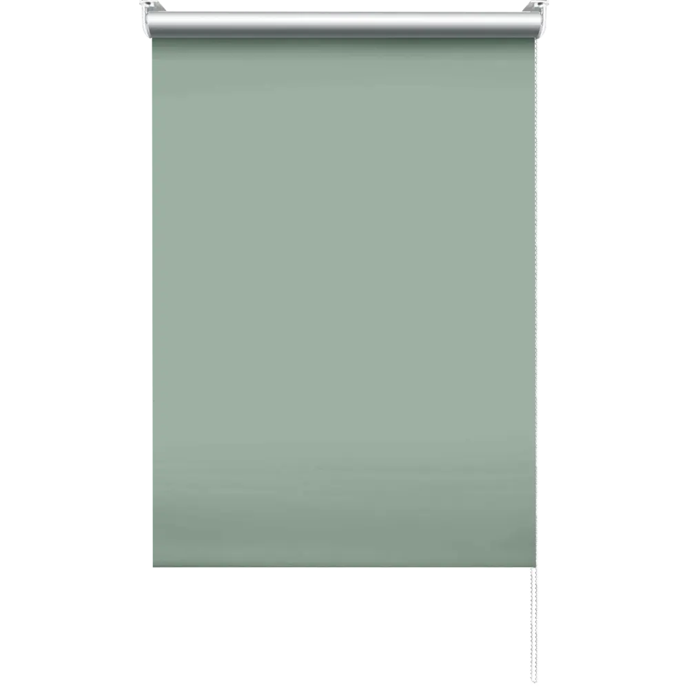 Штора рулонная блэкаут Эскар 55x160 см зеленая Cactus 5 BLACKOUT STLM-2200561