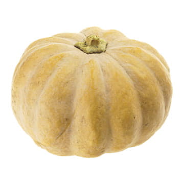 Тыква Ромашка 4 - 8 кг Santreyd 24505 - Вид №1