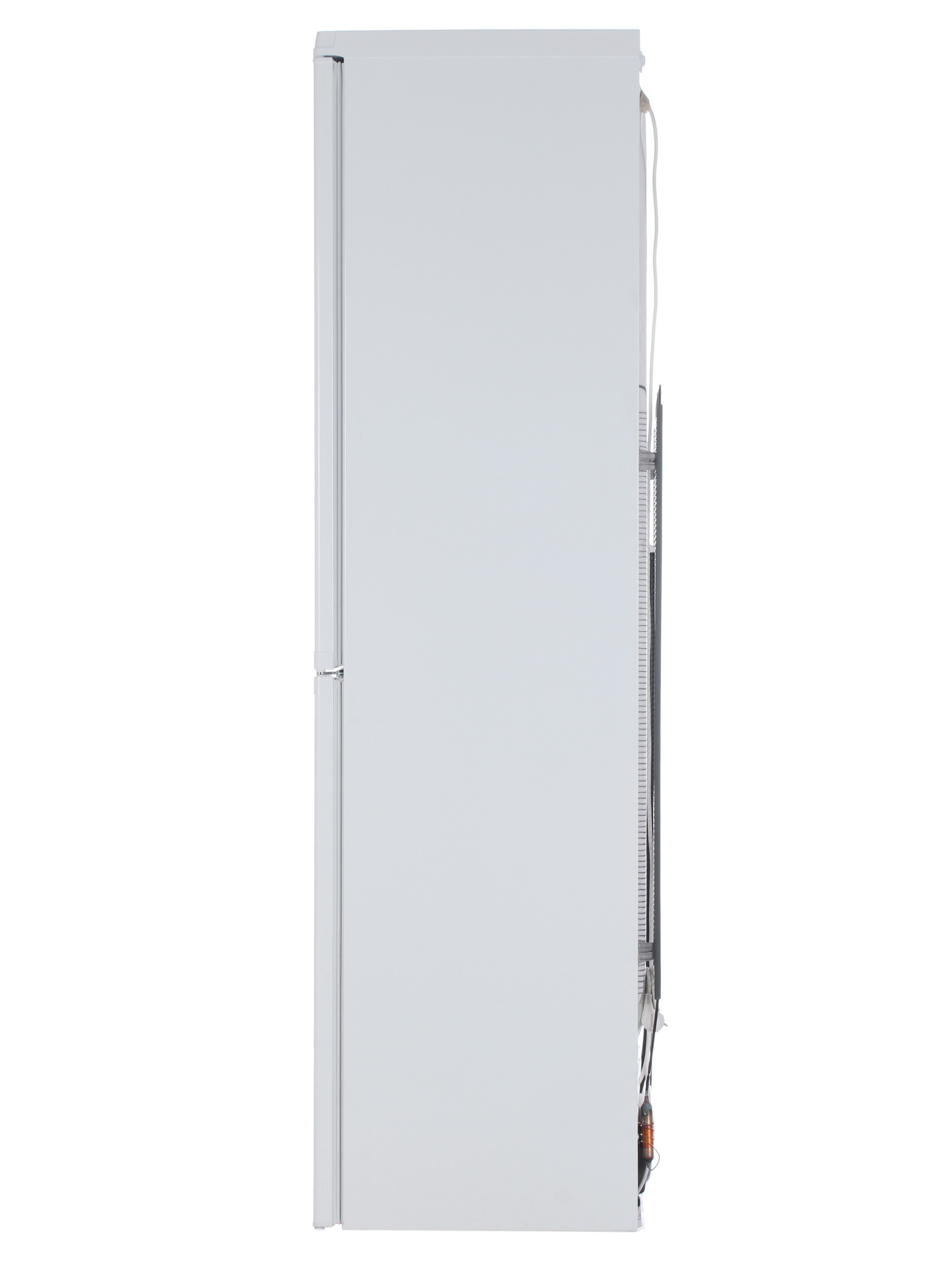 1229504 Холодильник с морозильником   DON R-297 B белый STDN-0011754 - Вид №4