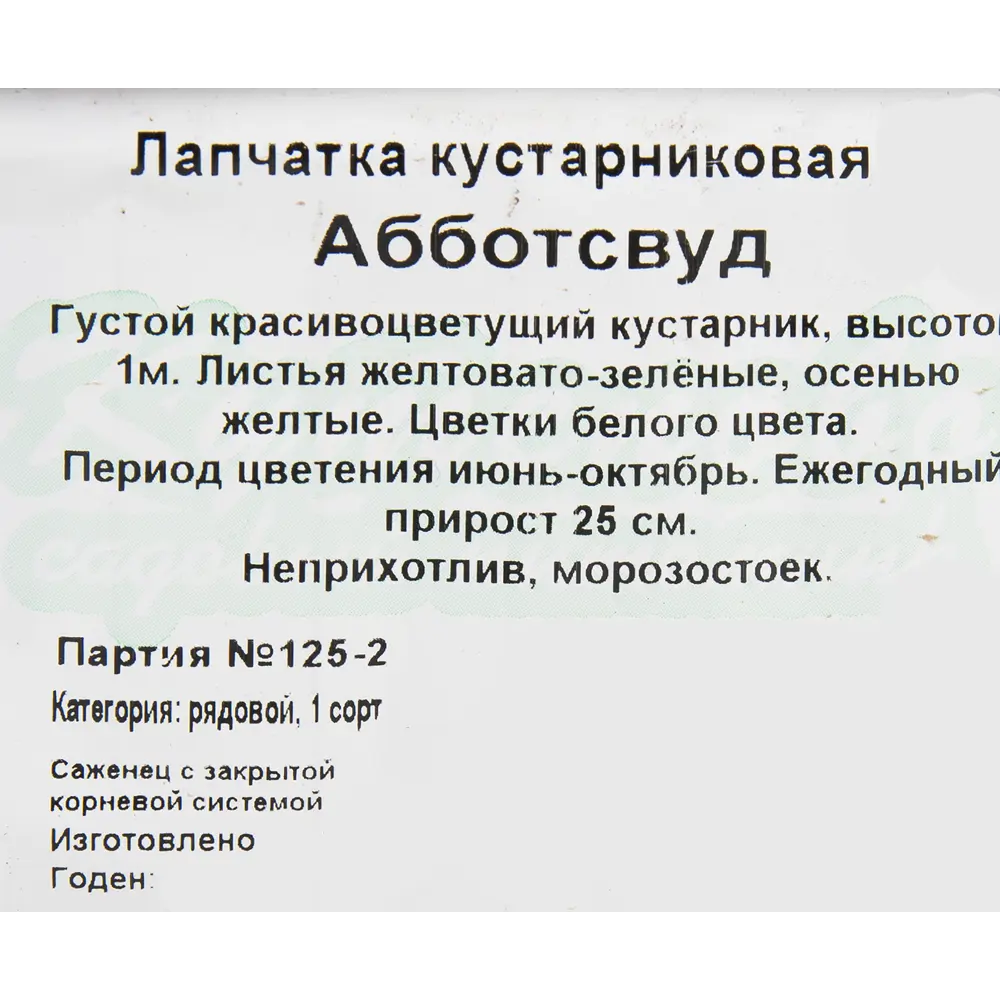 Лапчатка «Абботсвуд» 15x30 см 82595156 STLM-2188957 Santreyd  - Вид №1