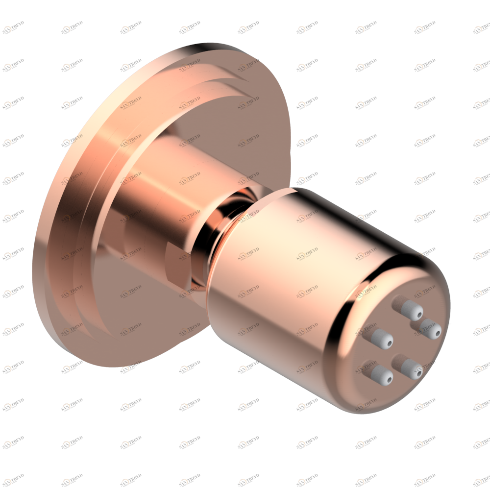 G2H-290/B Форсунка гидромассажная встраиваемая в стену 1/2" с защитой от жёсткой воды Thg-paris Le 9 Howlite Розовое золото G2H 290/B CAT.F