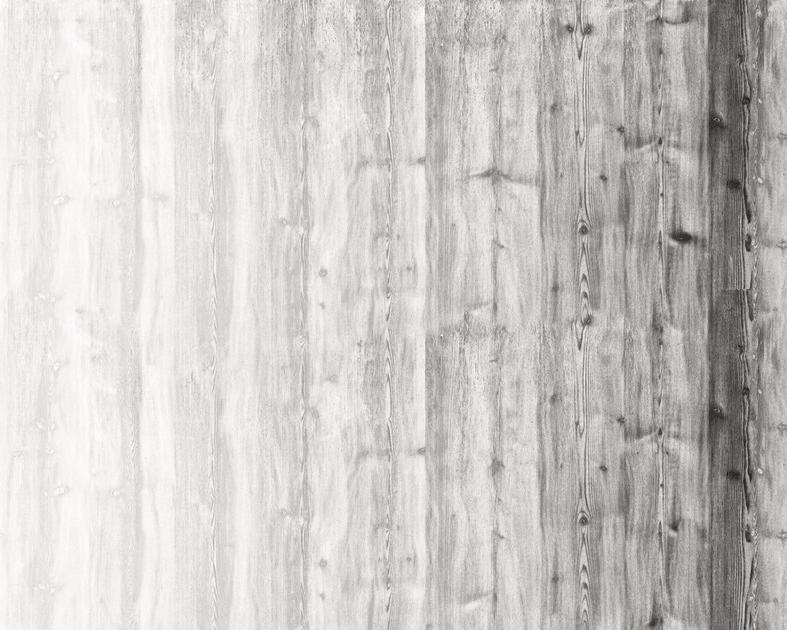 Wall&decò Обои под дерево Contemporary wallpaper 2015 sun-id-1481545 - Вид №2