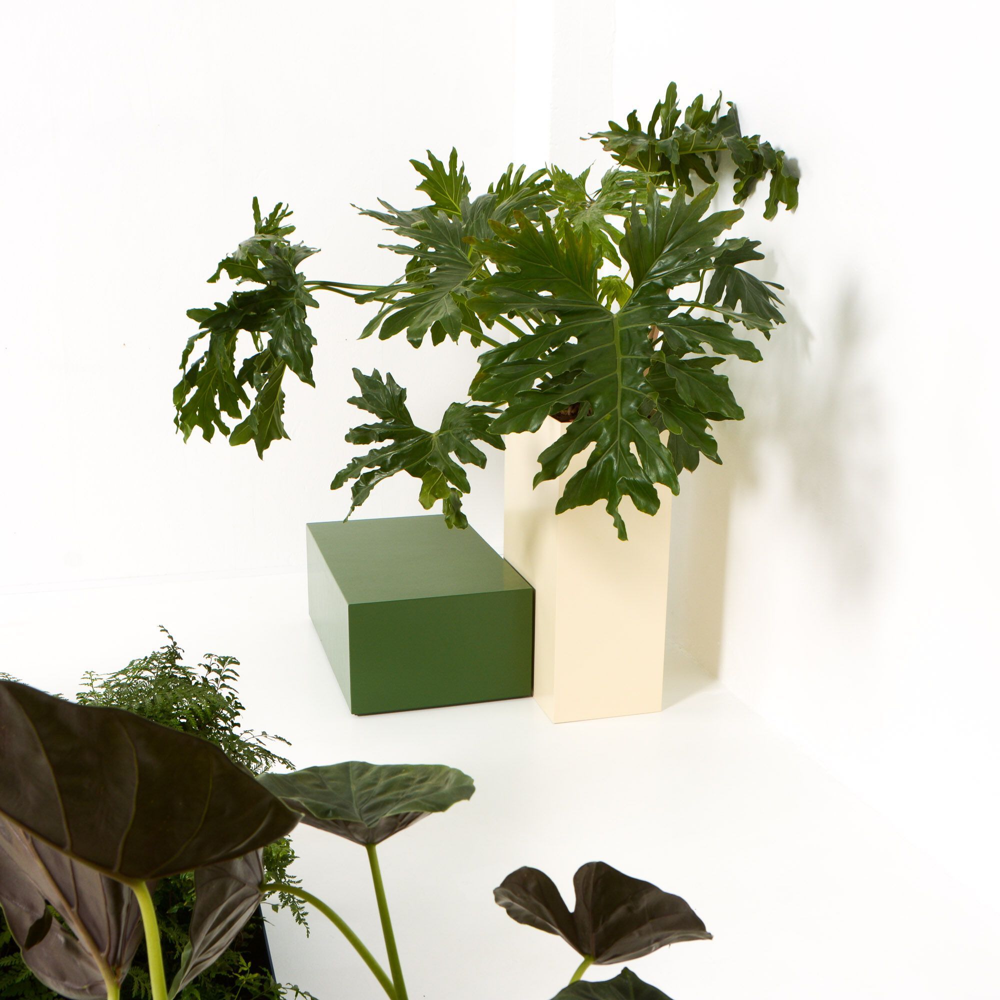 Низкая алюминиевая плантатор с порошковым покрытием SIXINCH PLANTER ARCH-00146353 - Вид №10