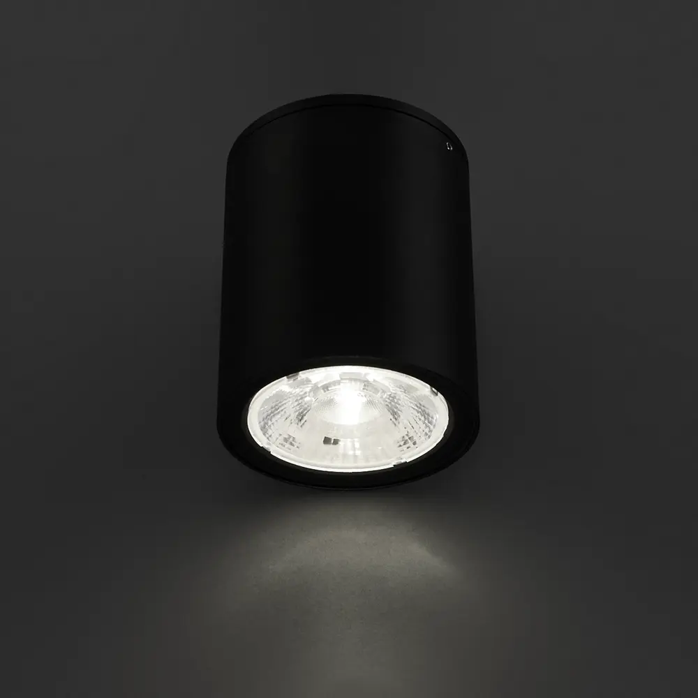 Светильник накладной Light 2103 Led IP65 7W, цвет черный 83960101 STLM-2119711 Elektrostandard  - Вид №2