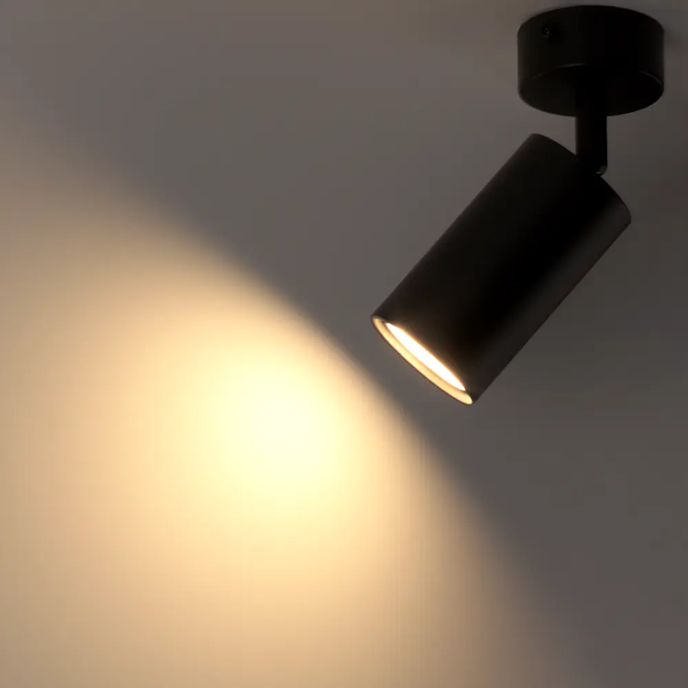 Поворотный спот Ritter Arton: точечное освещение для интерьера 83978991 STLM-0045721 - Вид №1