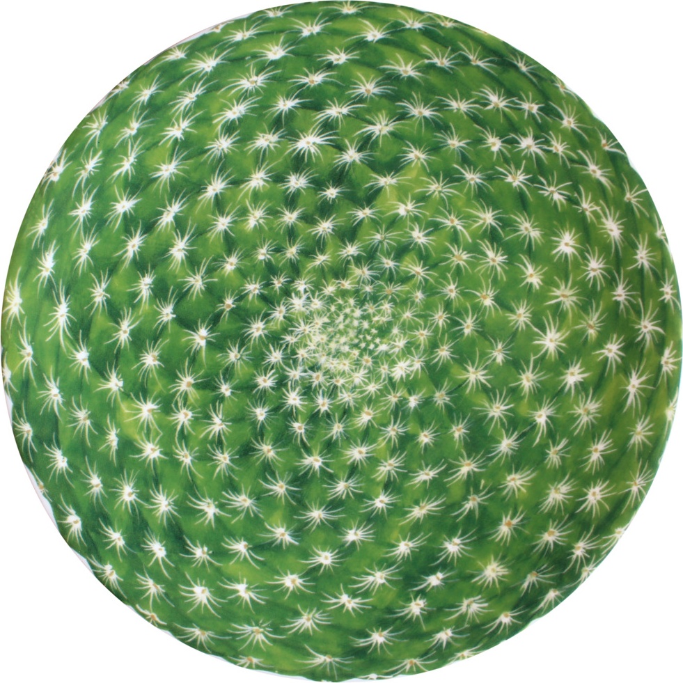 10640796 Taitu Тарелка акцентная Taitu "Кактусы" 23см Фарфор костяной 