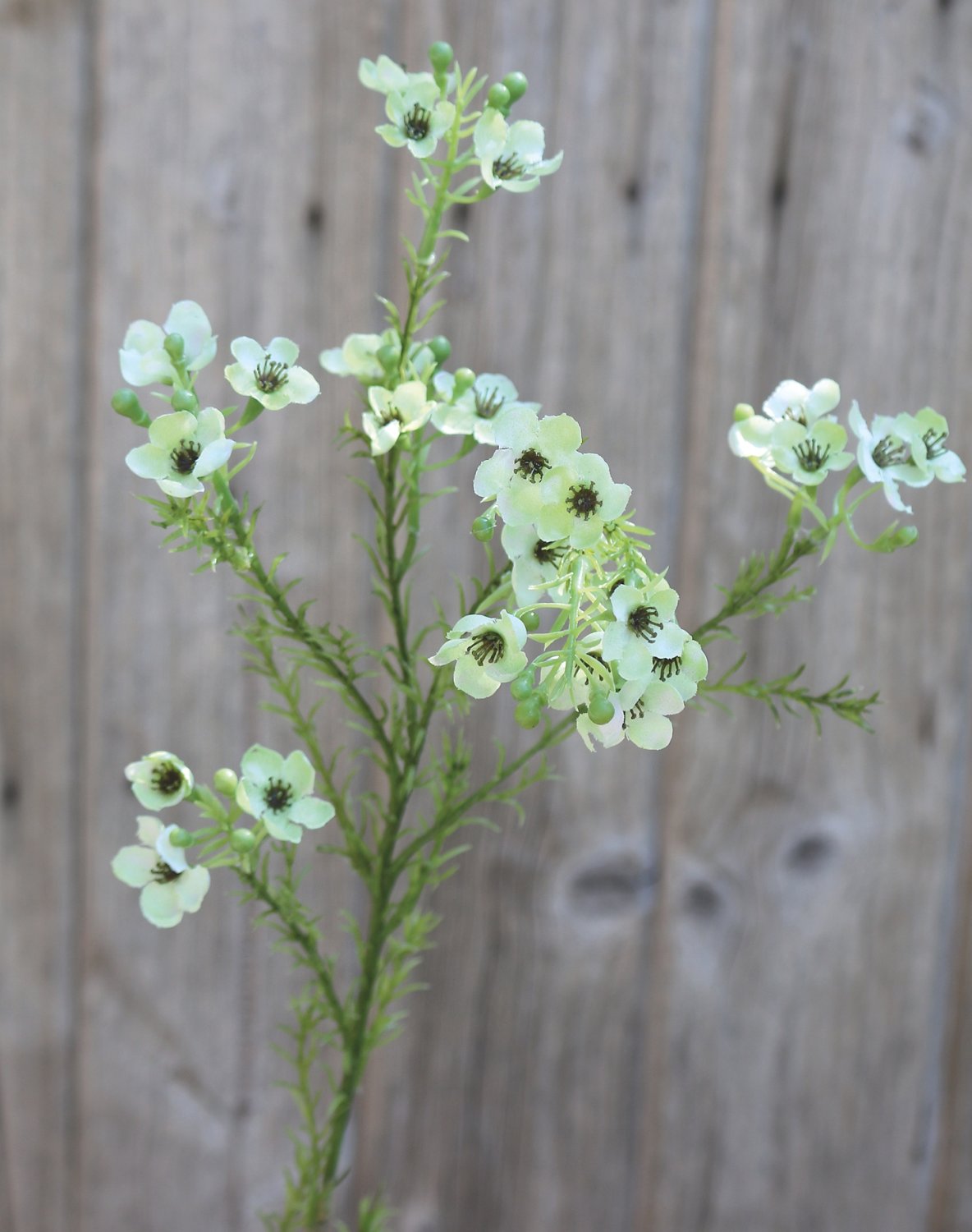 2021 788 a3 Растение из искусственного воска, 65 см, бежево-зеленое H-andreas  - Вид №3