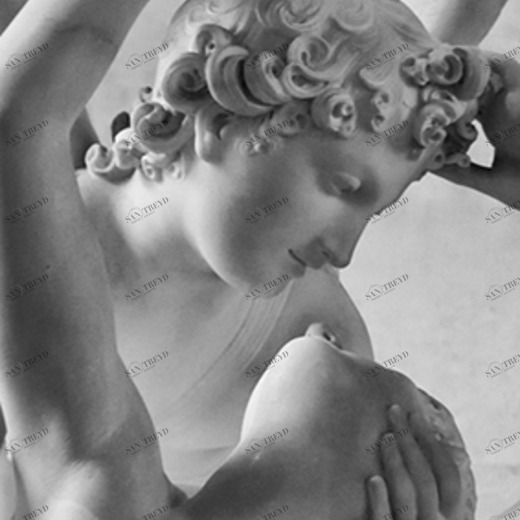 C1-277 Фотообои DIVINO Collection C 2.7х1 м C1277