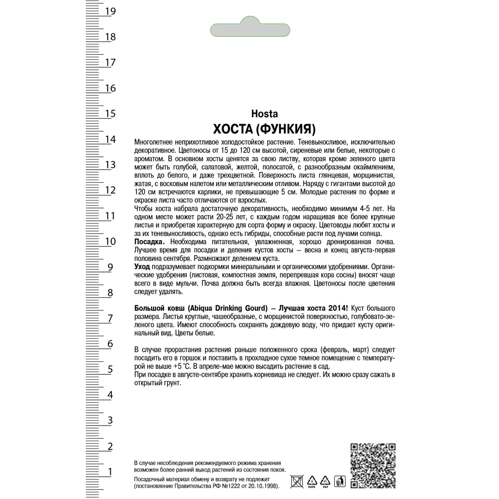 Хоста гибридная «Абиква Дринкин Гурд», 1 шт. 82118735 STLM-2059782 Santreyd  - Вид №1