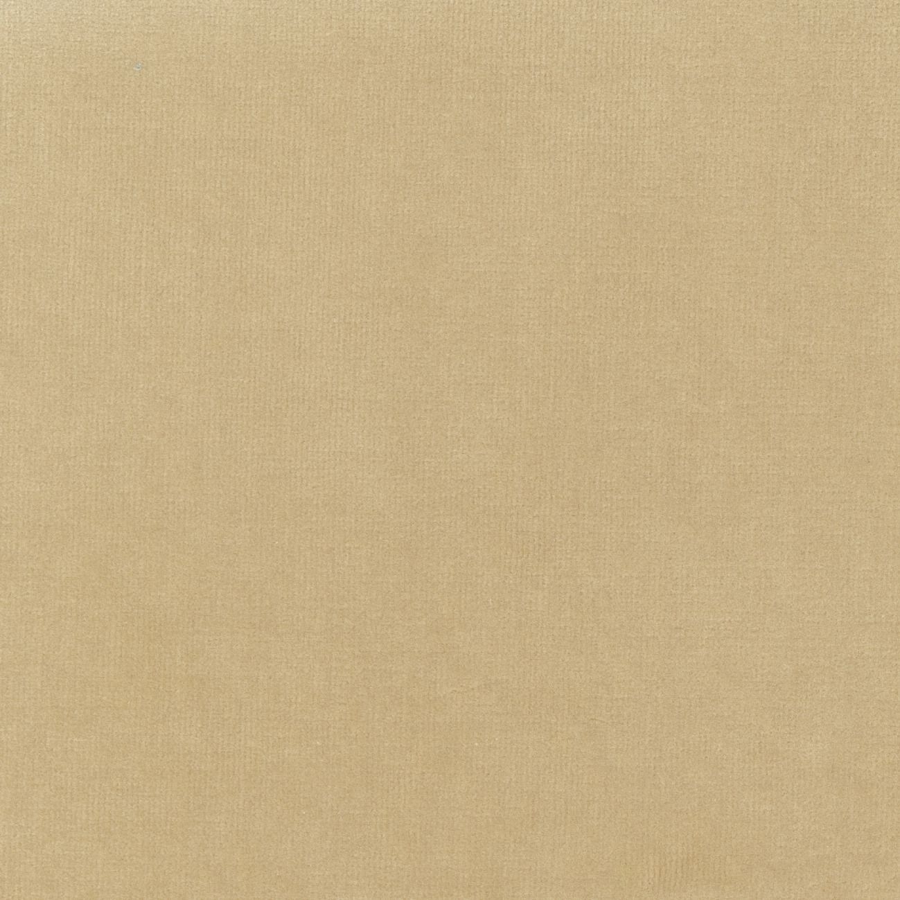 Бархатная однотонная ткань Élitis Palatine ARCH-00143253 - Вид №31