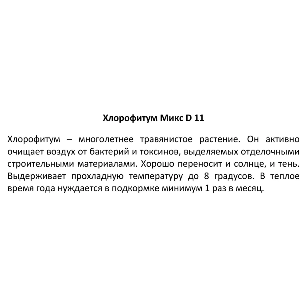 Хлорофитум микс ø11 h20 см 89338253 STLM-2066636 Santreyd  - Вид №3