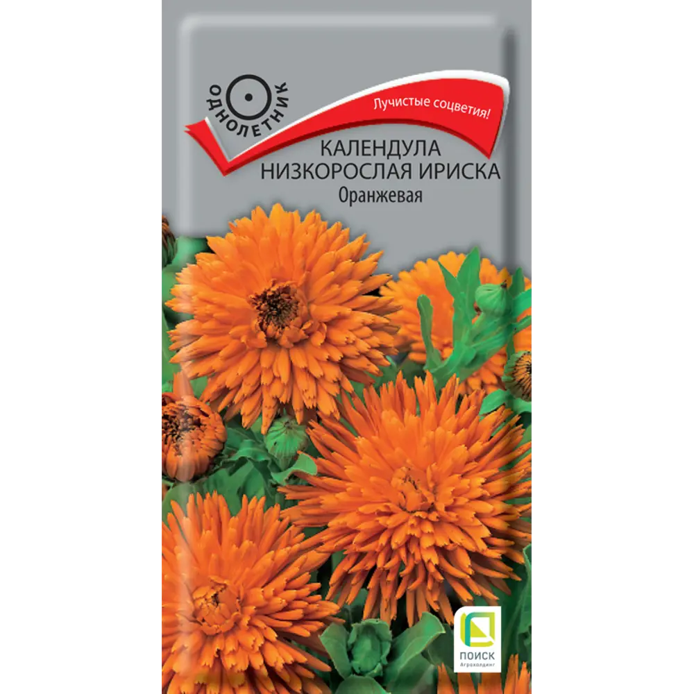 Календула Ириска Оранжевая от ПОИСК - компактный цветок с лучистыми соцветиями 89402689 STLM-1574910