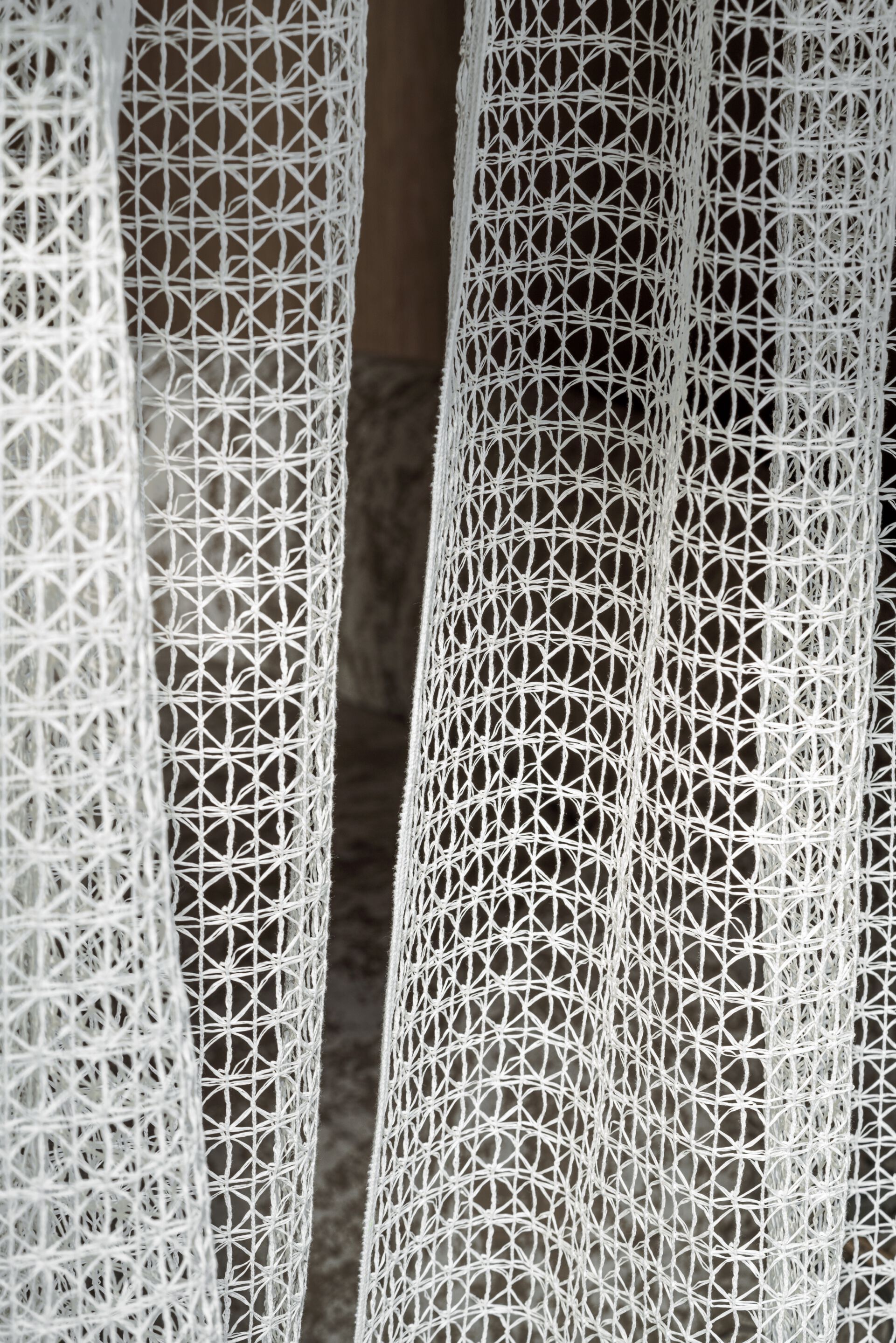 Хлопок сплошной цвет ткани Élitis Éphémère ARCH-00146856 - Вид №1