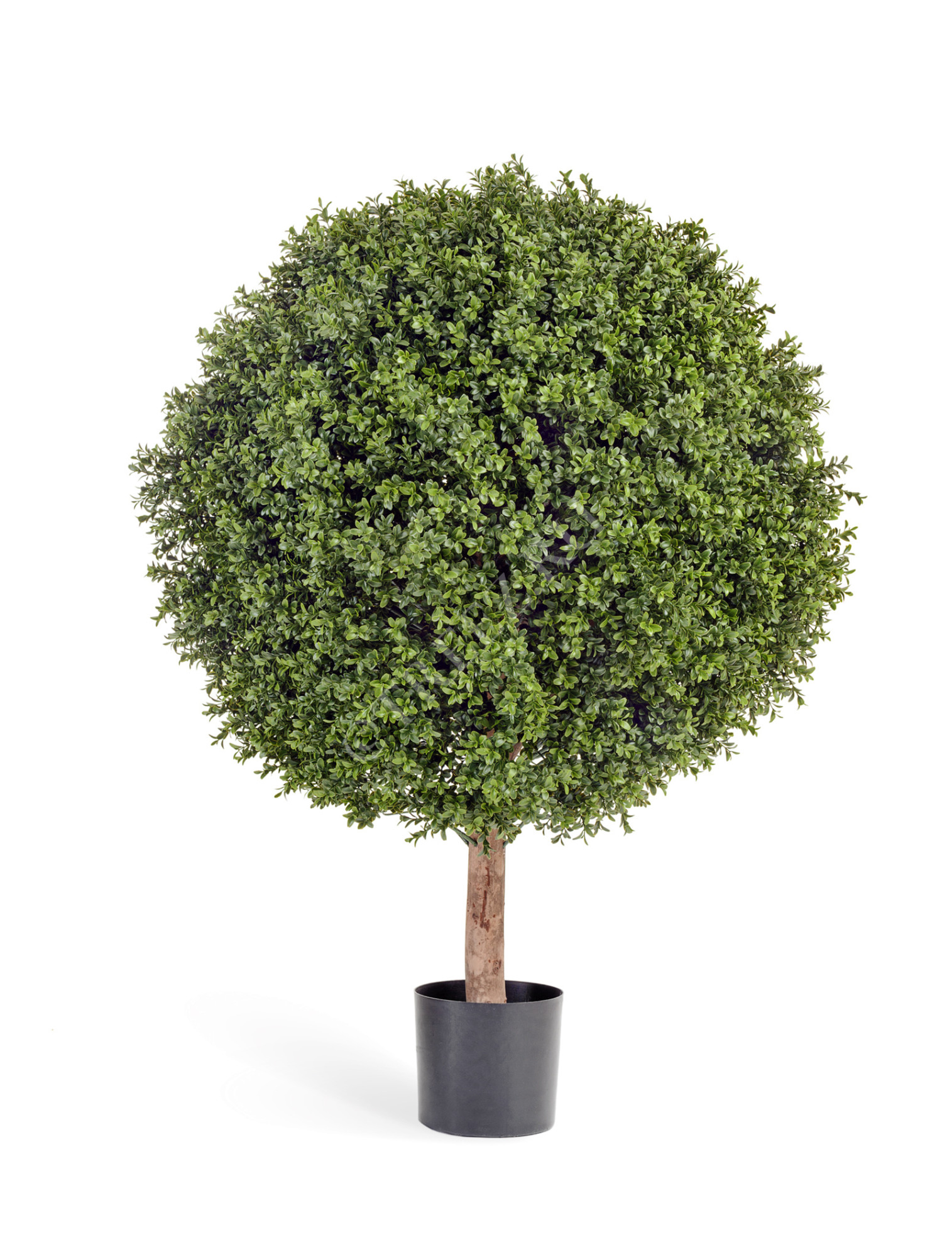 10.445XXL Самшит Шар-Гигант уличный в-120 см Цветочная коллекция 