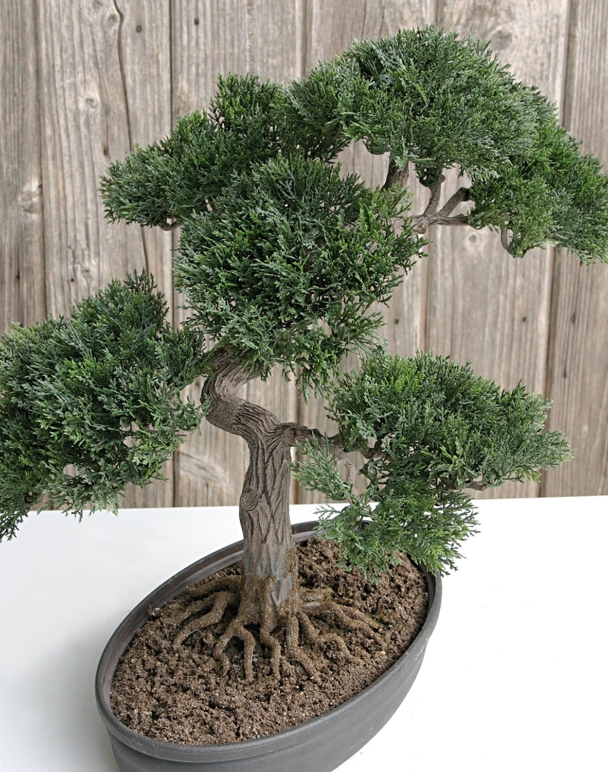5913 883 a3 Бонсай имитация кедра, горшечная, 40 см, зеленая H-andreas  - Вид №1