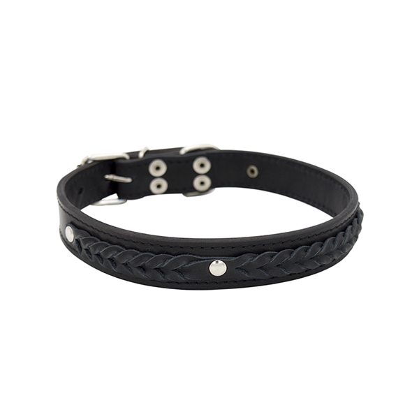 ПР0048188 Ошейник для собак Колосок 2сл 18мм 42см черный ZOOEXPRESS 