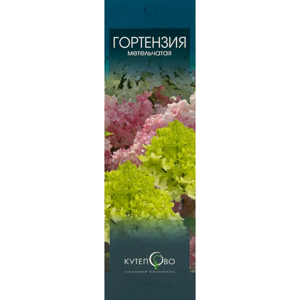 Гортензия метельчатая «Юник» в коробке 82155615 STLM-2056866 Santreyd 