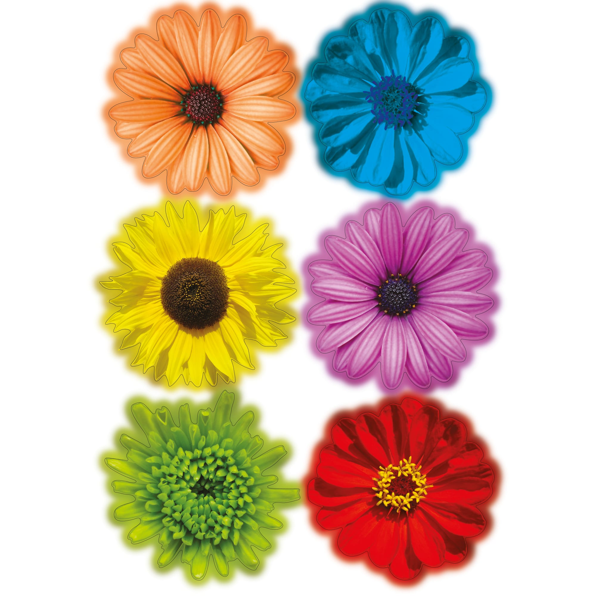 82550377 Наклейка «Разноцветные цветы» 17х23 см Santreyd 