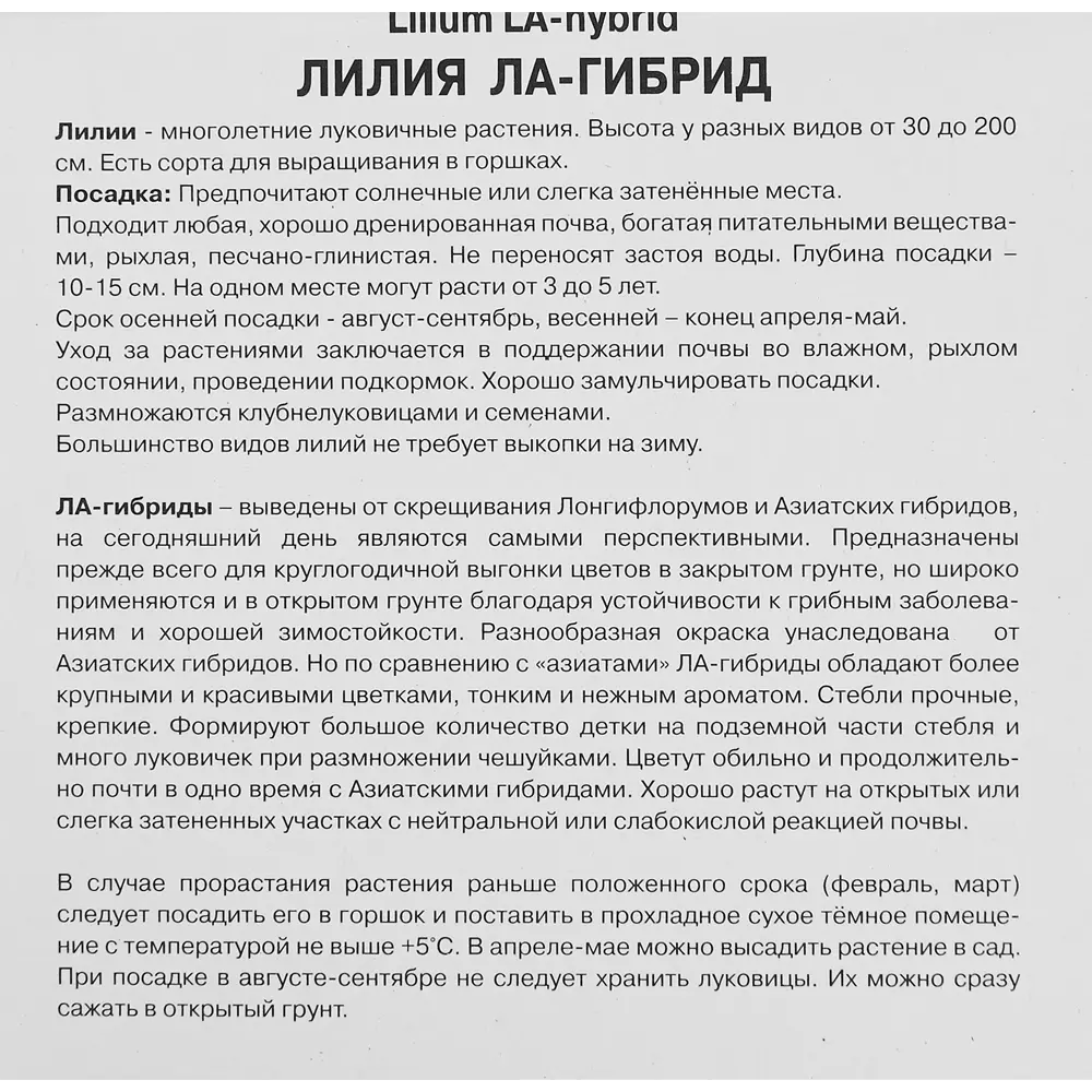 Лилия ЛА-гибрид Хардрок 1 шт. 83588547 STLM-2029365 Santreyd  - Вид №2