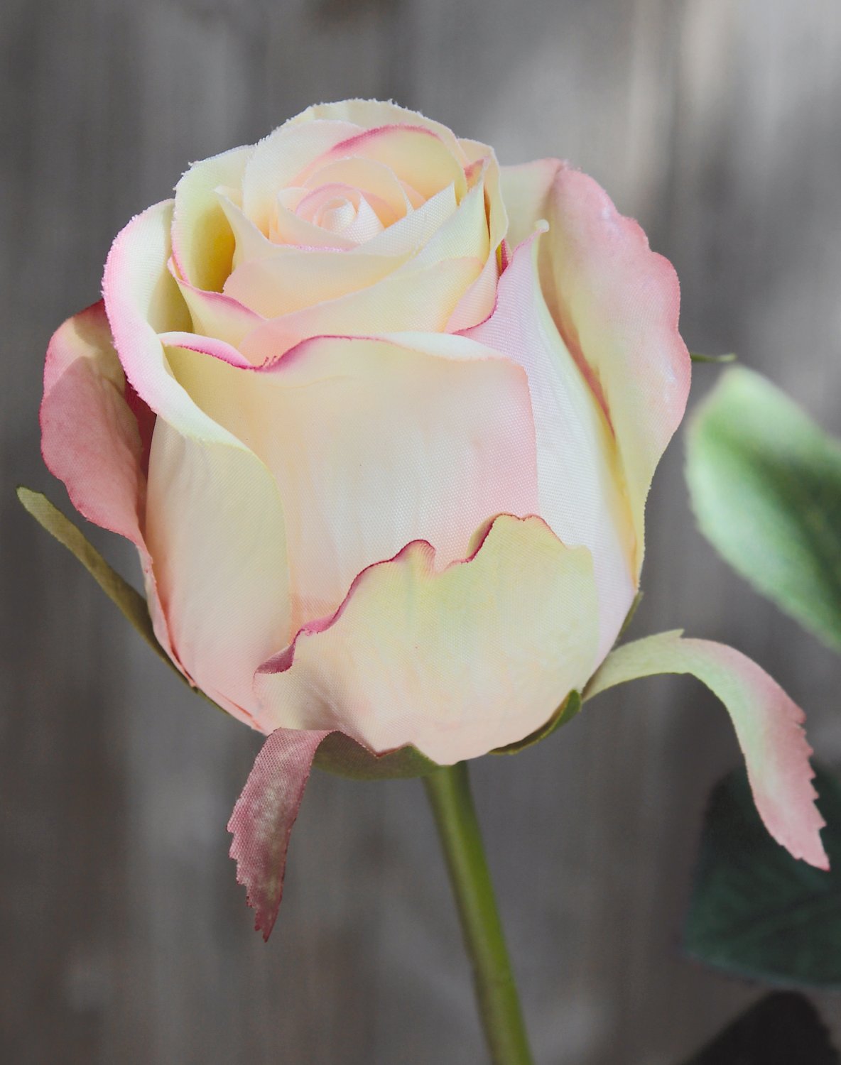 3350 508 a2 Искусственная роза, 58 см, розово-зеленая H-andreas  - Вид №5