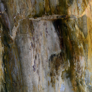 SICIS Lignin Gem Glass