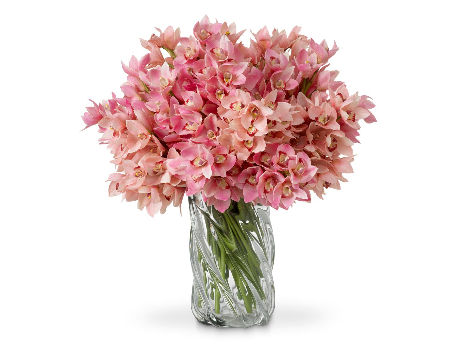 Искусственное растение Eichholtz BOUQUET OF CYMBIDIUM ORCHIDS ARCH-00077131