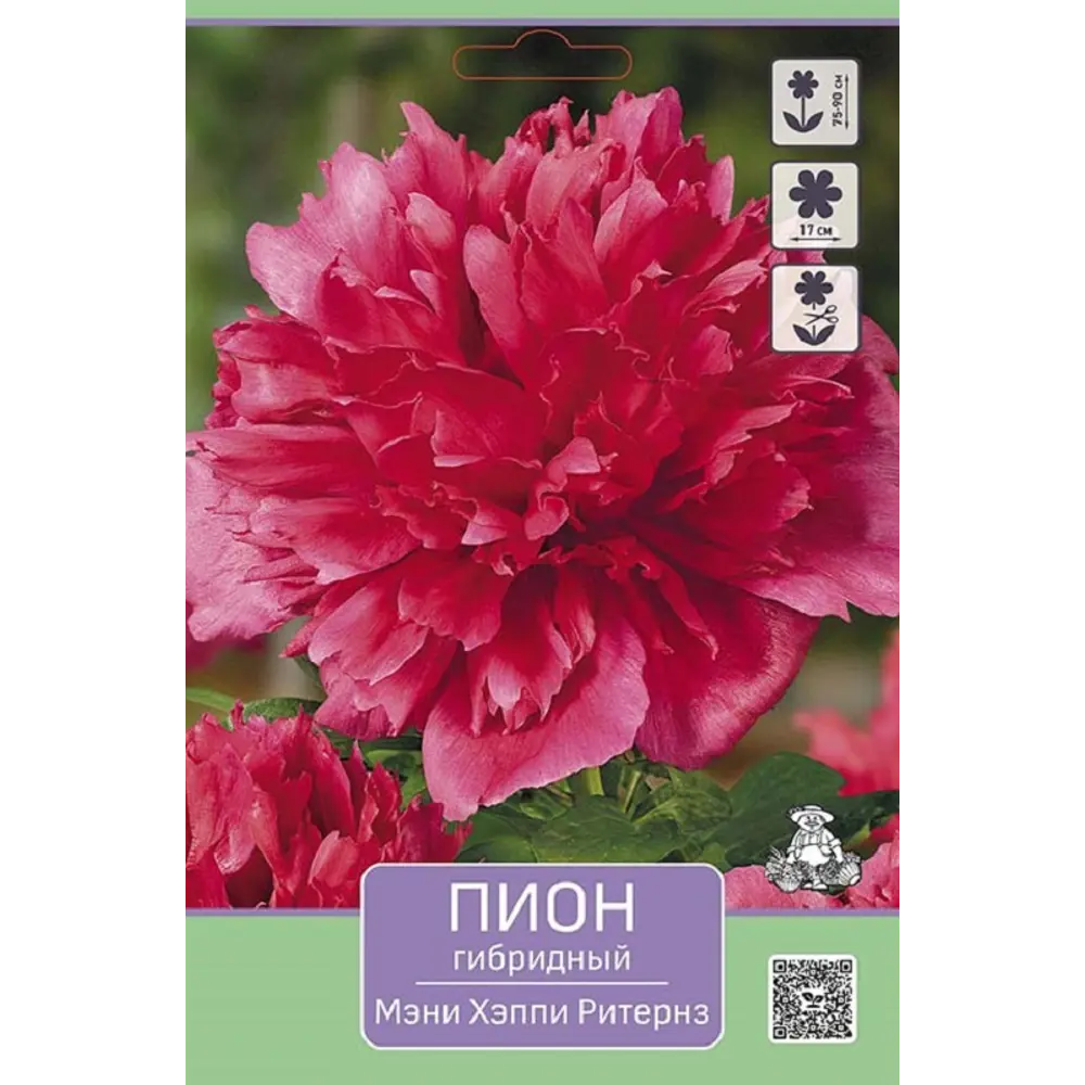 Пион гибридный Мэни Хэппи Ритернз 89452247 STLM-2099423 ПОИСК 