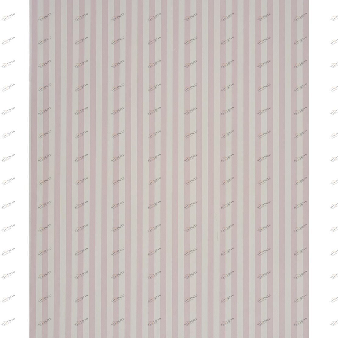 Рулон обоев ALICE & PAUL AEP18894126. Основа Casadeco