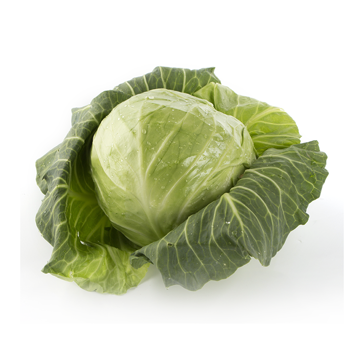 Капуста молодая Белокочанная Santreyd 18772 - Вид №1
