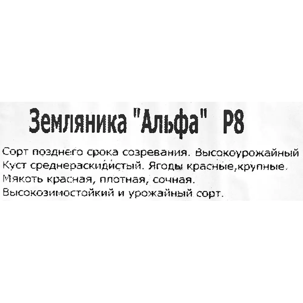 Santreyd Земляника Альфа — позднеспелый сорт для богатого урожая 83597584 STLM-0960380 - Вид №1