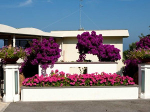 Плантатор из железобетона