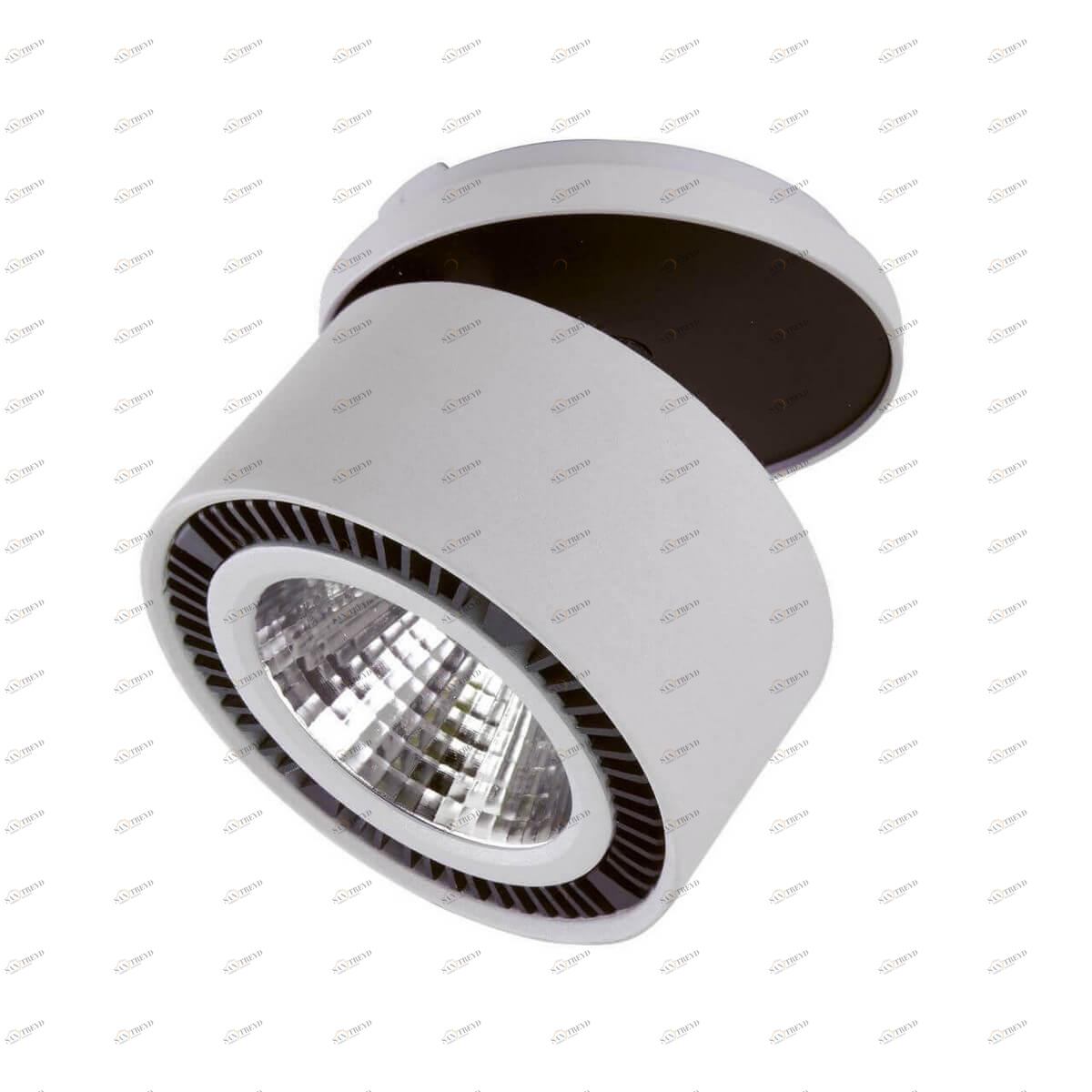 Встраиваемый спот серый Lightstar Forte Inca 213829 LIGHTSTAR FORTE INCA 00-3923626 Серый 