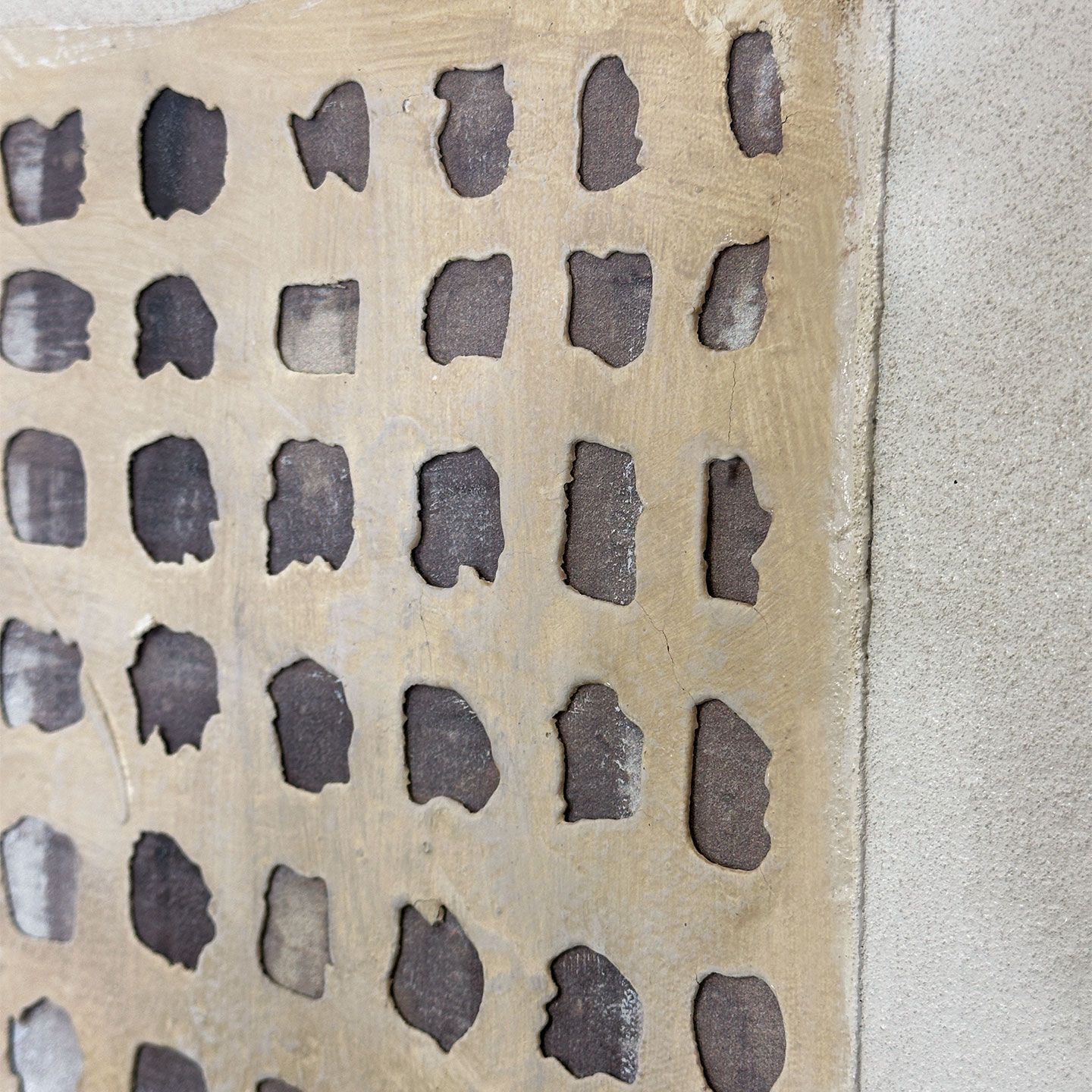 Холст рамки Agave JALISCO ARCH-00088457 - Вид №2