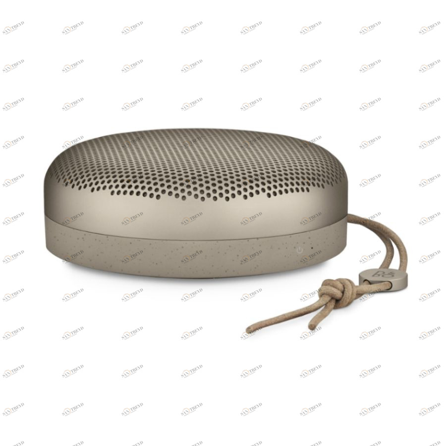 Система акустичесткая Beoplay A1, серая Bang & Olufsen 1297896