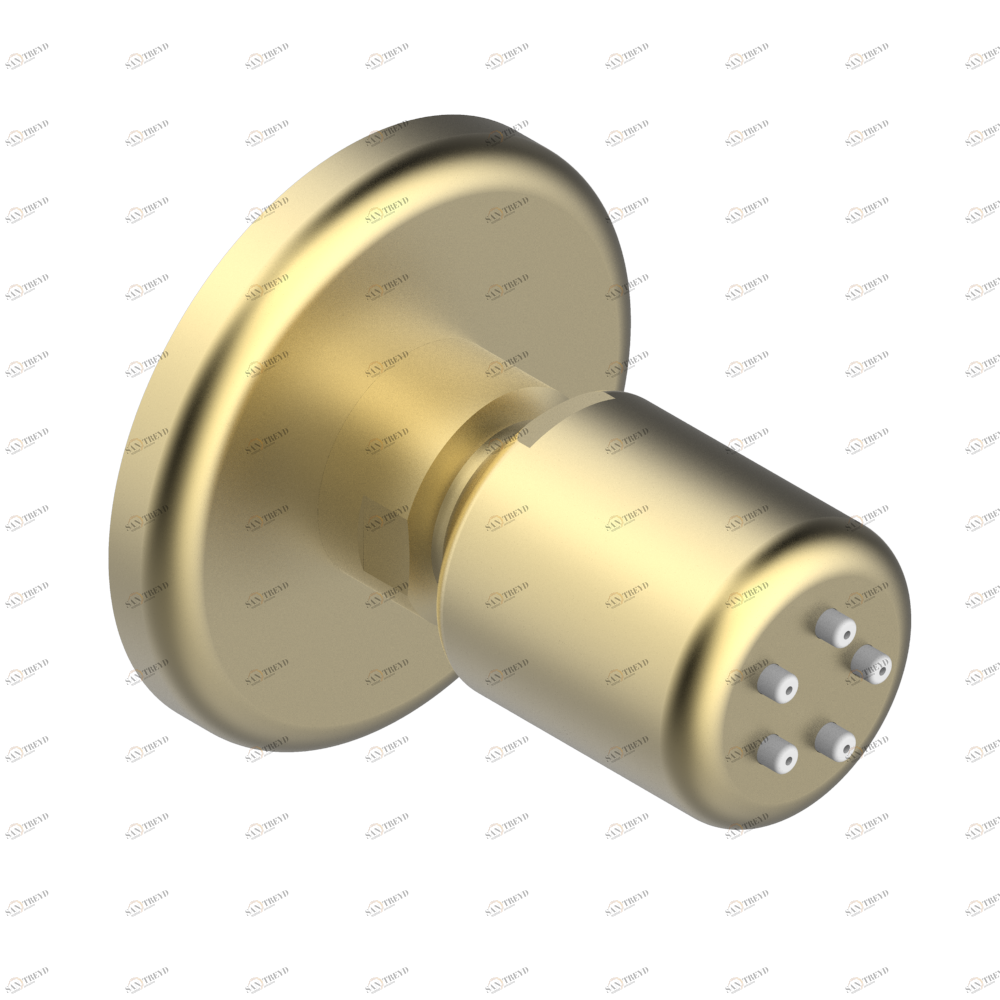 G7C-290/B Форсунка гидромассажная встраиваемая в стену 1/2" с защитой от жёсткой воды Thg-paris Saint Germain Покрытие PVD матовая латунь G7C 290/B CAT.F