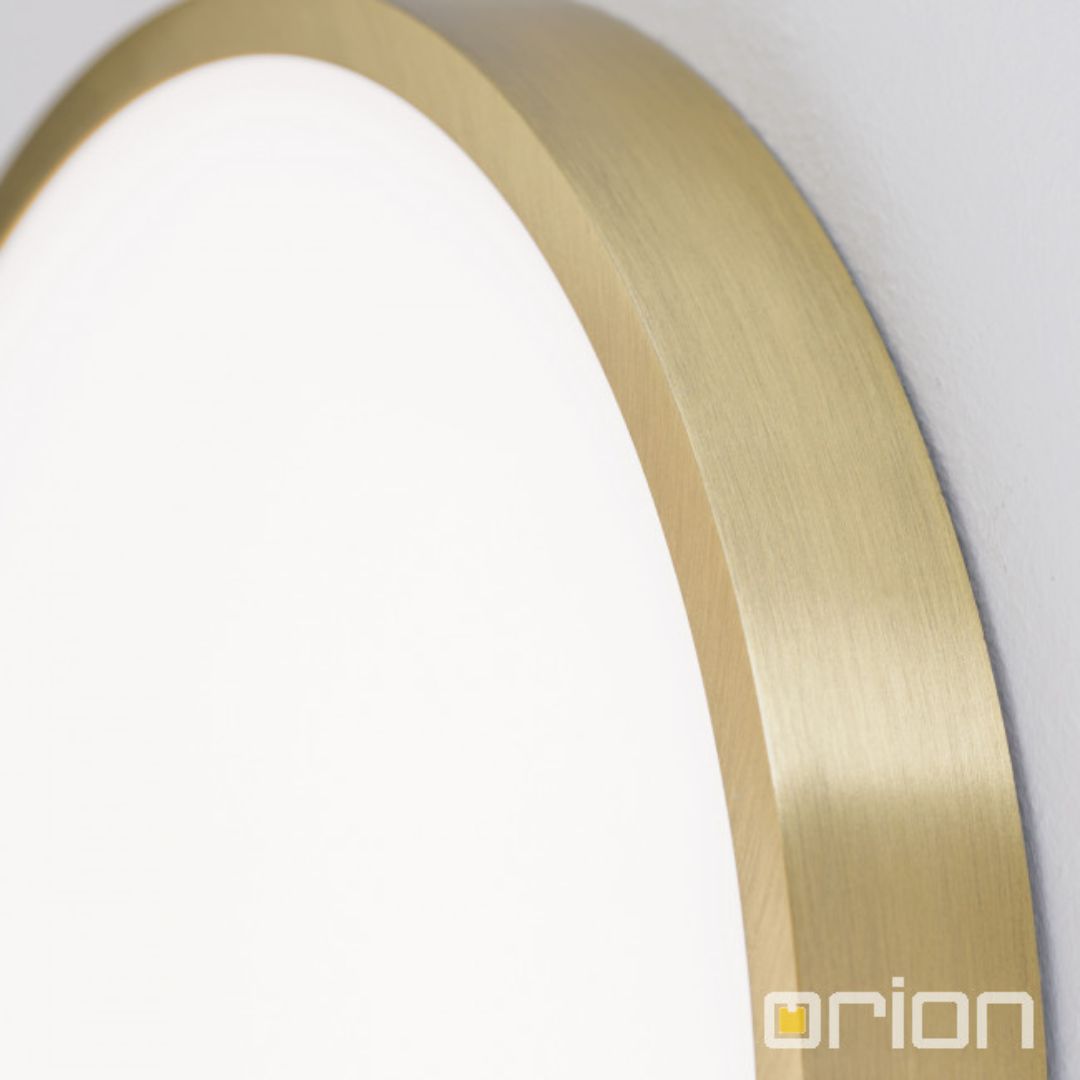 Orion DL 7-657/24 patina светильник настенно-потолочный 119048 - Вид №2