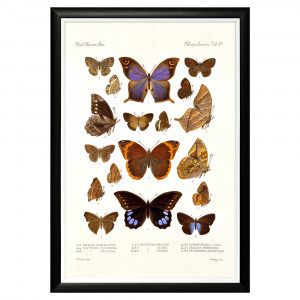 782752371_1818 Арт-постер «Тропический рай», версия 27 Object Desire