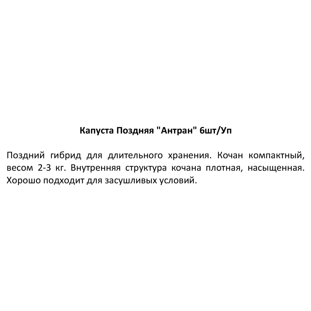 Капуста поздняя 6 шт. 84253271 STLM-2199849 Santreyd  - Вид №2