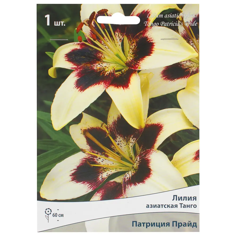 Лилия азиатская Танго «Патриция Прайд» 81945464 STLM-2026299 Santreyd 