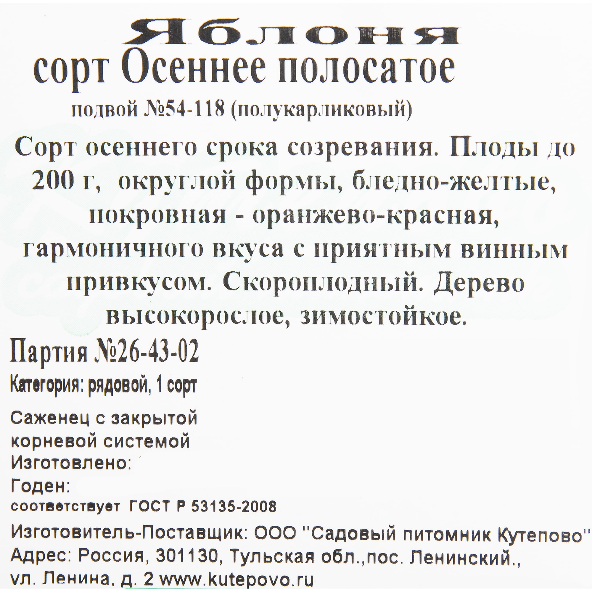82597155 Яблоня «Осеннее полосатое» C4 высота 140 см Santreyd  - Вид №1